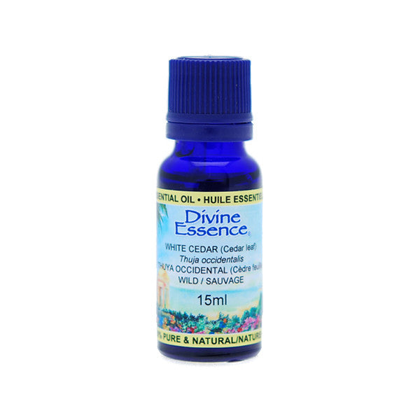 white-cedar-essential-oil-divine-essence-15ml
